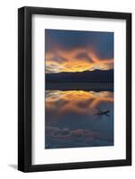 California. Death Valley National Park. Sunset with Reflections, Cotton Ball Basin-Judith Zimmerman-Framed Photographic Print