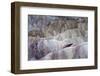 California, Death Valley National Park. Zabriskie Point Sunrise-Judith Zimmerman-Framed Photographic Print