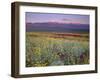 California, Death Valley National Park-John Barger-Framed Premium Photographic Print
