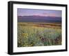 California, Death Valley National Park-John Barger-Framed Premium Photographic Print