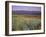 California, Death Valley National Park-John Barger-Framed Photographic Print