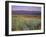 California, Death Valley National Park-John Barger-Framed Photographic Print