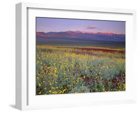 California, Death Valley National Park-John Barger-Framed Photographic Print