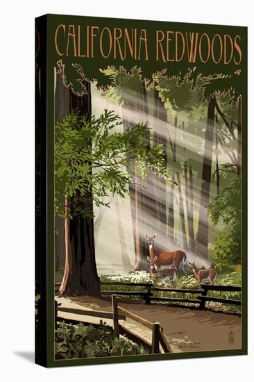 California - Deer and Fawns in Redwoods-Lantern Press-Stretched Canvas