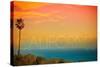 California Del Mar - Sunset and Birds-Lantern Press-Stretched Canvas