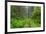 California, Del Norte Coast Redwoods State Park, Damnation Creek Trail and Redwood trees-Jamie & Judy Wild-Framed Premium Photographic Print