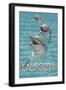 California - Dolphins-Lantern Press-Framed Art Print