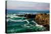California Dream-Natalie Mikaels-Stretched Canvas