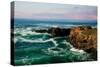 California Dream-Natalie Mikaels-Stretched Canvas