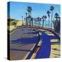 California Dreaming 3-Mercedes Marin-Stretched Canvas