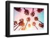 California Dreaming - Beverly Hills Sunset Palms-Philippe HUGONNARD-Framed Photographic Print