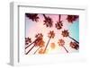 California Dreaming - Beverly Hills Sunset Palms-Philippe HUGONNARD-Framed Photographic Print