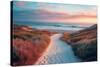 California Dreaming - Serene Path-Philippe HUGONNARD-Stretched Canvas