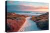 California Dreaming - Serene Path-Philippe HUGONNARD-Stretched Canvas