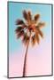 California Dreaming - The Pastel Palm-Philippe HUGONNARD-Mounted Photographic Print