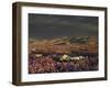 California, Dumont Dunes, a Rainbow Above Dunes and Wildflowers-Christopher Talbot Frank-Framed Photographic Print