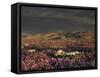 California, Dumont Dunes, a Rainbow Above Dunes and Wildflowers-Christopher Talbot Frank-Framed Stretched Canvas