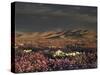 California, Dumont Dunes, a Rainbow Above Dunes and Wildflowers-Christopher Talbot Frank-Stretched Canvas