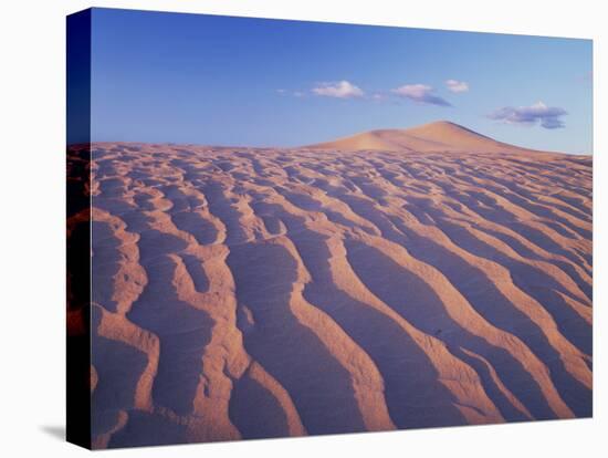 California, Dumont Dunes in the Mojave Desert at Sunset-Christopher Talbot Frank-Stretched Canvas