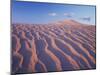 California, Dumont Dunes in the Mojave Desert at Sunset-Christopher Talbot Frank-Mounted Premium Photographic Print