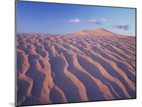 California, Dumont Dunes in the Mojave Desert at Sunset-Christopher Talbot Frank-Mounted Premium Photographic Print