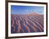 California, Dumont Dunes in the Mojave Desert at Sunset-Christopher Talbot Frank-Framed Premium Photographic Print