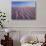 California, Dumont Dunes in the Mojave Desert at Sunset-Christopher Talbot Frank-Photographic Print displayed on a wall