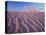 California, Dumont Dunes in the Mojave Desert at Sunset-Christopher Talbot Frank-Stretched Canvas