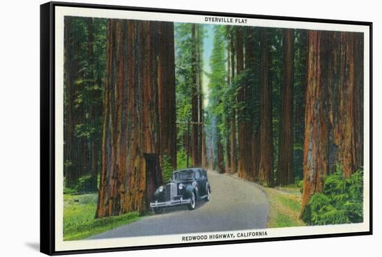 California - Dyerville Flat Scene on the Redwood Highway-Lantern Press-Framed Stretched Canvas