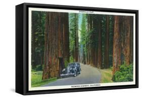 California - Dyerville Flat Scene on the Redwood Highway-Lantern Press-Framed Stretched Canvas