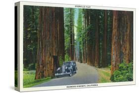 California - Dyerville Flat Scene on the Redwood Highway-Lantern Press-Stretched Canvas