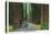 California - Dyerville Flat Scene on the Redwood Highway-Lantern Press-Stretched Canvas