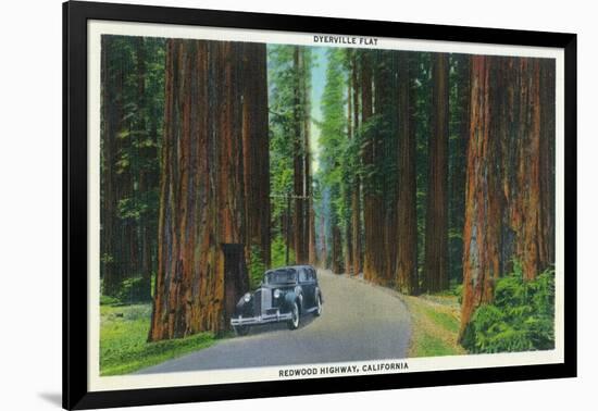 California - Dyerville Flat Scene on the Redwood Highway-Lantern Press-Framed Art Print