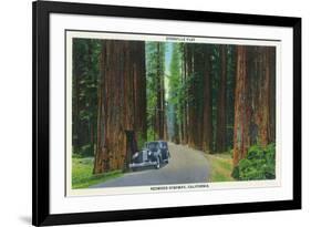California - Dyerville Flat Scene on the Redwood Highway-Lantern Press-Framed Art Print