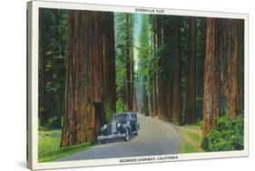 California - Dyerville Flat Scene on the Redwood Highway-Lantern Press-Stretched Canvas