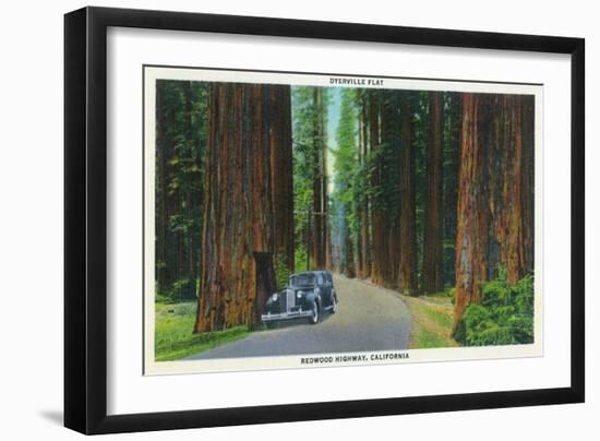 California - Dyerville Flat Scene on the Redwood Highway-Lantern Press-Framed Art Print