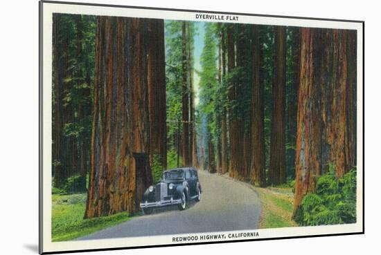 California - Dyerville Flat Scene on the Redwood Highway-Lantern Press-Mounted Art Print