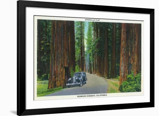 California - Dyerville Flat Scene on the Redwood Highway-Lantern Press-Framed Premium Giclee Print