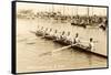 California Eight Oar Rowing Team-null-Framed Stretched Canvas