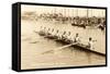 California Eight Oar Rowing Team-null-Framed Stretched Canvas