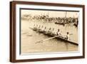 Brown Frame