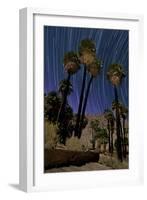 California Fan Palms and a Backdrop of Star Trails in Anza Borrego Desert State Park-null-Framed Photographic Print