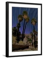 California Fan Palms and a Backdrop of Star Trails in Anza Borrego Desert State Park-null-Framed Photographic Print