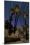 California Fan Palms and a Backdrop of Star Trails in Anza Borrego Desert State Park-null-Mounted Photographic Print