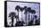 California Fan Palms-Richard T. Nowitz-Framed Stretched Canvas