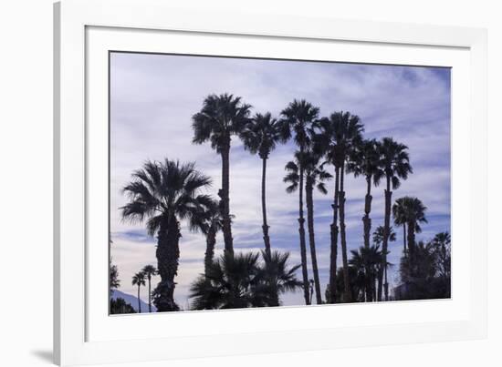 California Fan Palms-Richard T. Nowitz-Framed Photographic Print