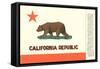 California Flag-null-Framed Stretched Canvas