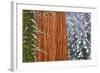 California, Giant Sequoia in Winter, Giant Forest, Sequoia National Park-Russ Bishop-Framed Photographic Print