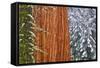 California, Giant Sequoia in Winter, Giant Forest, Sequoia National Park-Russ Bishop-Framed Stretched Canvas