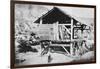 California Gold Rush, 19th Century-null-Framed Photographic Print